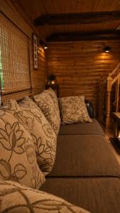 The DACHA escape