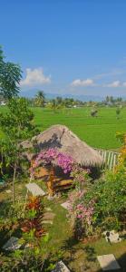 Mantra Yoga Homestay