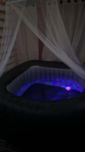 Jacuzzi Clim table de massage jardin et barbecue au cœur de Perpignan