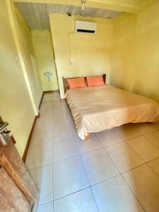 pieter homestay