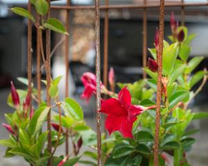 Grundfør bed and breakfast