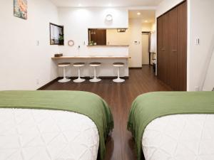 BAC 201 - Tokyo Disney Access, Entire Apartment for 4, Tokyo Koiwa