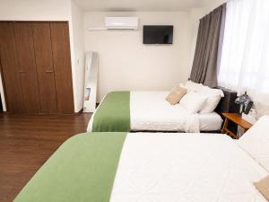 BAC 201 - Tokyo Disney Access, Entire Apartment for 4, Tokyo Koiwa
