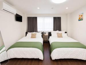BAC 201 - Tokyo Disney Access, Entire Apartment for 4, Tokyo Koiwa