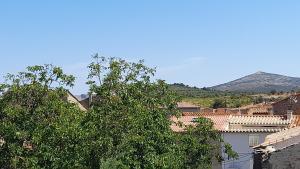 les hirondelles de Barrou