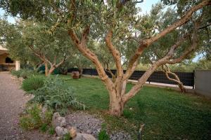 Holiday House Didovina - fantastic pool