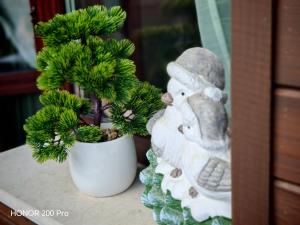Mountain studio ASP E63 Borovets Gardens