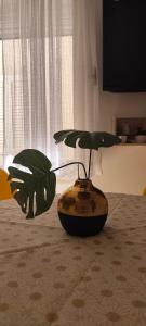 apartment Ivo