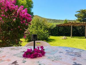 Vermentino - Apartment - 200m from the Beach - Garden - Wi-Fi - AC - BBQ - Parking - Pet Friendly