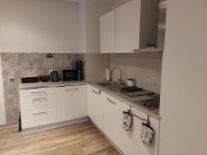 Apartament GRYF Baltic