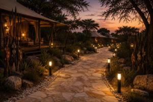 Africa Safari Tarangire