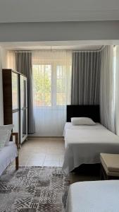 Ergün Apt 37-1