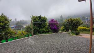 Rosebell Valley
