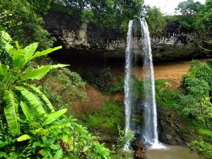 BUSH HOMESTAY&TOURs