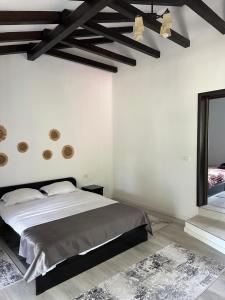 Vila Sorina