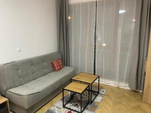 Studio Shevitsa