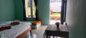 Rice field guest house