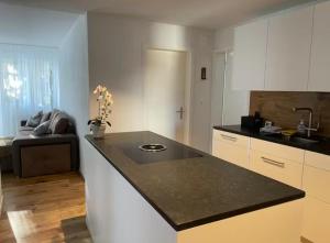Large Apartment Central WEF location