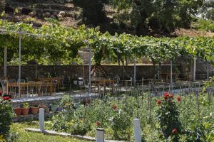 Vatra Traditional Guesthouse