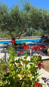 Lemonaki peaceful pool apartment near Chania & Almyrida