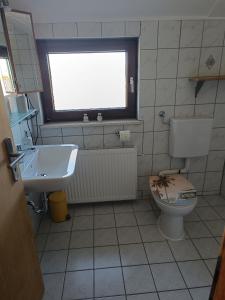 FeWo Waschbär