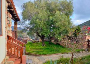 Casa Ambrino