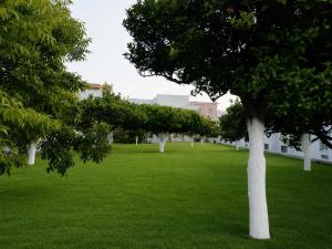 Antana Guest House