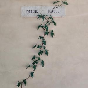 Podere Gemelli Assisi