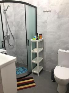 One-room apartment with a territory