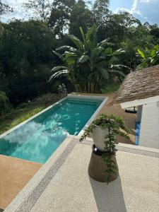 Jungle Villa Khao Lak