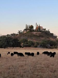 Casa Rural La Quintina en Salamanca con piscina privada