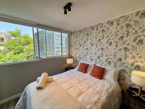 Modern and Functional on Irarrazaval