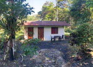 Great Hostels Amazon