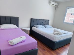 tirana cozy apartment