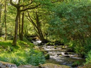 Moulin Plouyaec - gîte bordé de verdure, sa rivière et son étang