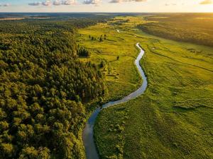 Domki nad rzeką Narew