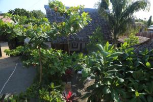 La Bella resort