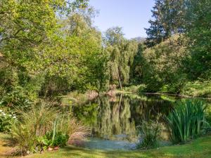 Moulin Plouyaec - gîte bordé de verdure, sa rivière et son étang