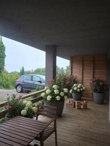Apartament na Wzgórzu