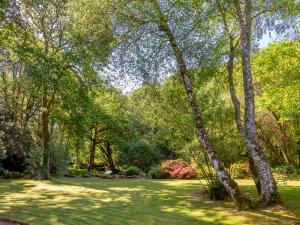 Moulin Plouyaec - gîte bordé de verdure, sa rivière et son étang