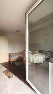 Apartment Volk Turjaški
