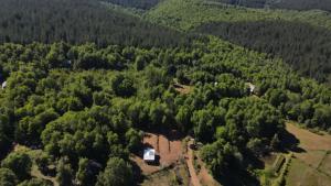 Cabin in native forest and hot tubs
