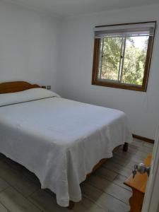 Cabin in native forest and hot tubs