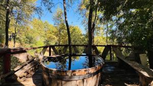 Cabin in native forest and hot tubs