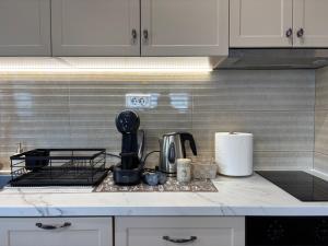 Tesla Apartment - Stay Like a Local