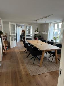Large and charming apartment with a huge roof terrace