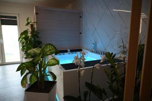 Relaxing Spa with Hot Tub