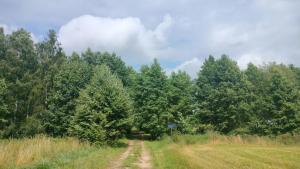Pokoje Agroturystyka w Starym Dworku