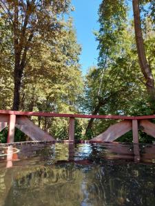 Cabin in native forest and tubs