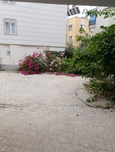 Cansu apt Old TOWN NO 1